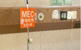 获批国家级“无呕树模
病房”，盈康生命打造肿瘤差别
化服务