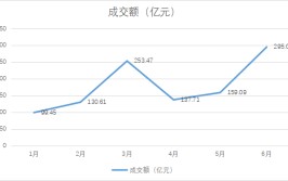 QDII基金高溢价连续受关注 谁在买卖
业务
“溢难平”？