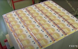 法国是否正走向政治僵局？这对欧元有多糟糕？