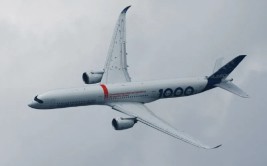 空客提拔
了以宽体飞机为首的将来
20年需求猜测
