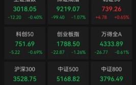 假如
你是“耐烦
资源
”，会怎样
对待
本日
A股下跌？