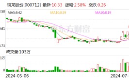 锦龙股份底价22.72亿卖“子”回血，东莞证券将迎控股股东？东莞国资拟接盘