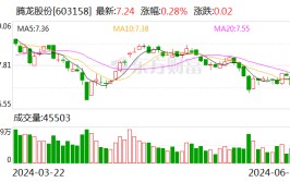 腾龙股份拟投资不超600万欧元 设立摩洛哥全资孙公司