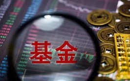 明星基金司理
最新调仓曝光！丘栋荣、周蔚文、葛兰如许
操纵
……
