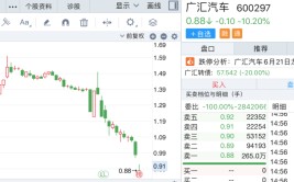 遭遇“股债双杀”，广汇汽车股价跌破1元“红线”
