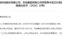 母公司占用资金逾170亿元！证监会责令改正