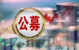 尴尬！公募股权再遭流拍，数千人围观为何无人出价？