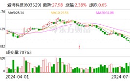 爱玛科技：第二季度“爱玛转债”转股约1.02万股