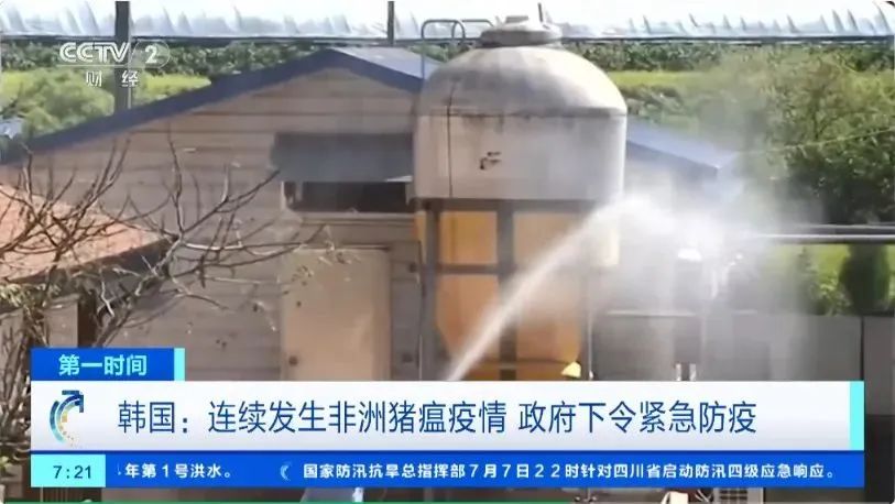 韩国“非瘟”疫情持续三个月，政府下令紧急防疫 韩国“非瘟”疫情连续三个月，当局
下令告急
防疫 时时快讯